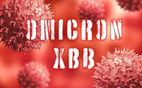 XBB.1.5毒株是什么病毒？有必要囤蒙脱石散吗？